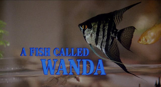 A Fish Called Wanda